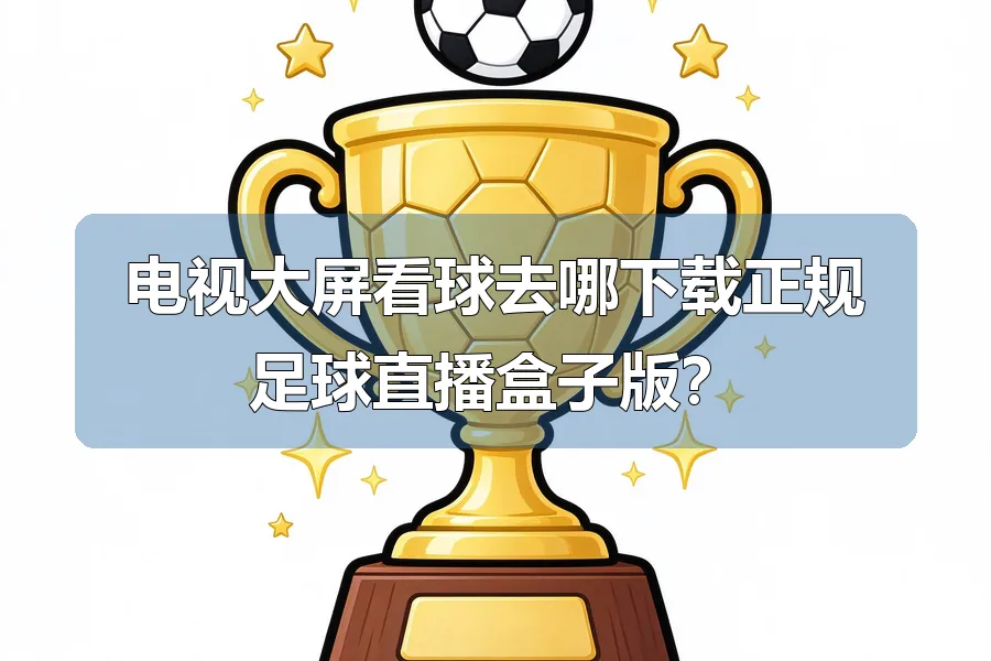 电视大屏看球去哪下载正规足球直播盒子版?